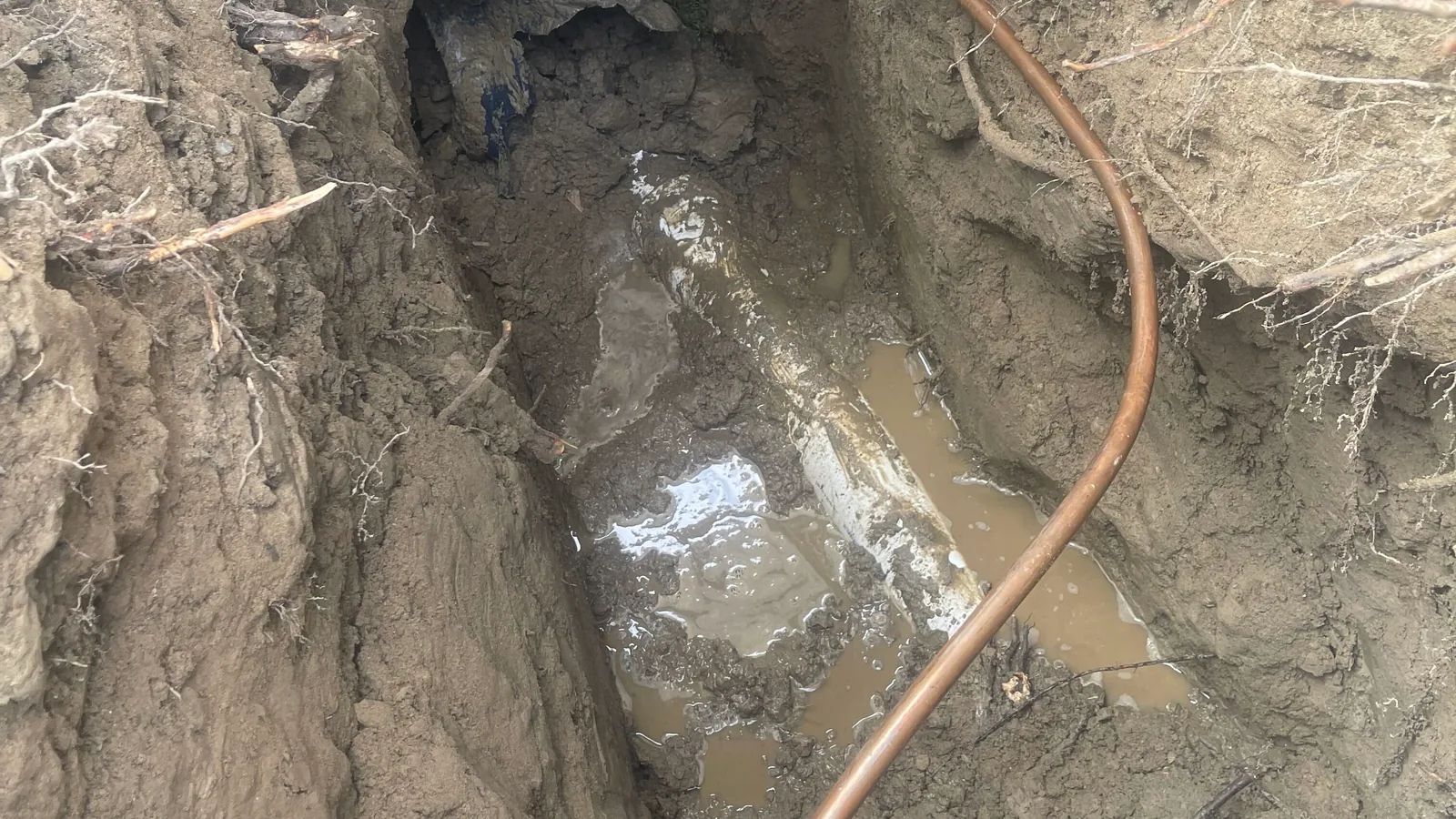 Sewer line replacement in Grosse Pointe, MI